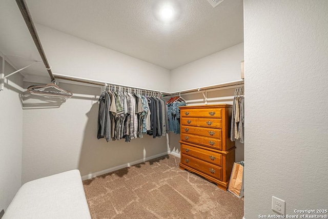 spacious closet featuring carpet floors