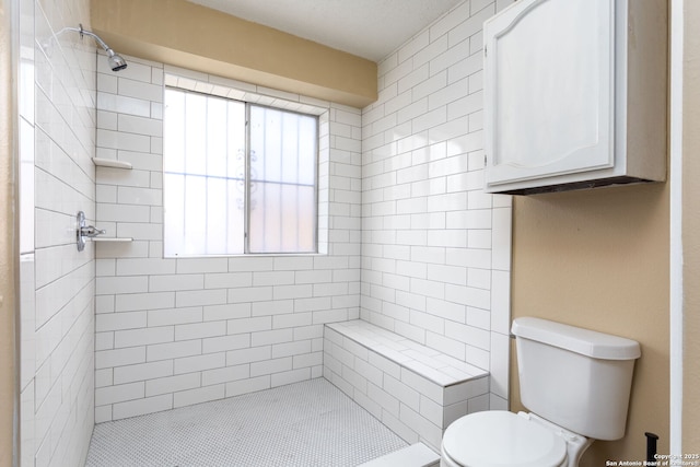 bathroom with a stall shower and toilet