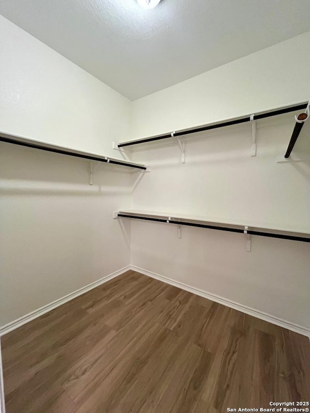 6731 Indian Ldg, San Antonio, TX 78253 - spacious closet with dark wood-style floors