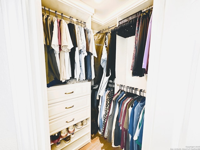 view of walk in closet