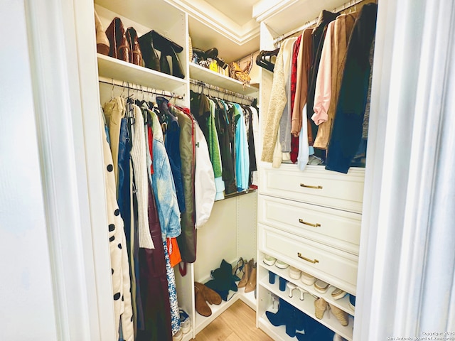 walk in closet with light wood-style flooring