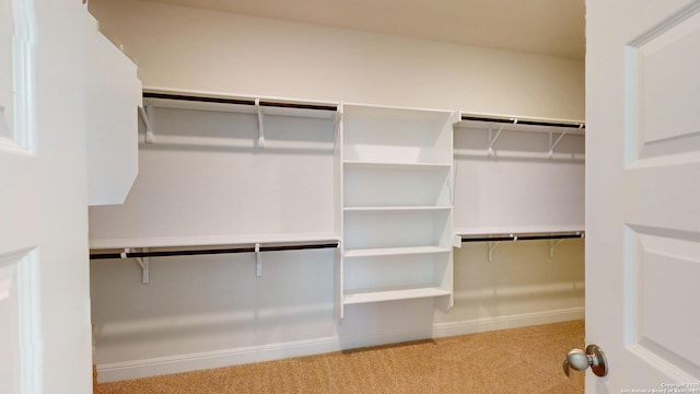 spacious closet with carpet flooring