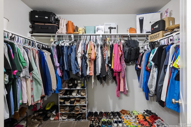 view of spacious closet