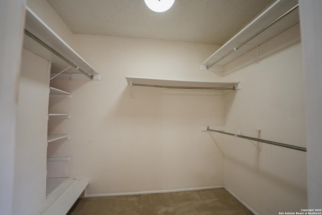 spacious closet with carpet floors