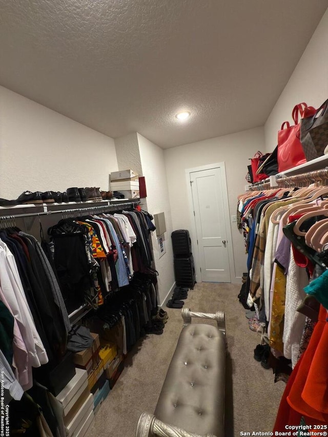 spacious closet with carpet floors