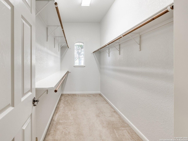 spacious closet featuring light carpet