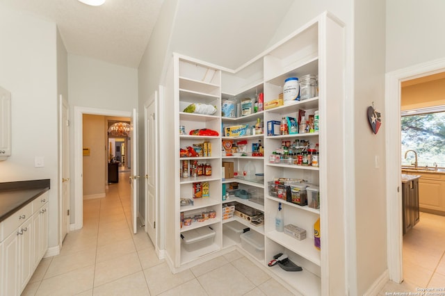 pantry with a sink