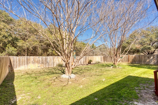 view of yard with a fenced backyard