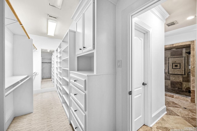 spacious closet with visible vents