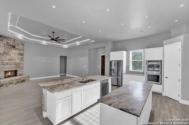 kitchen with a fireplace, a spacious island, a raised ceiling, appliances with stainless steel finishes, and a sink