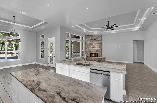 kitchen featuring dishwasher, a stone fireplace, a tray ceiling, and open floor plan