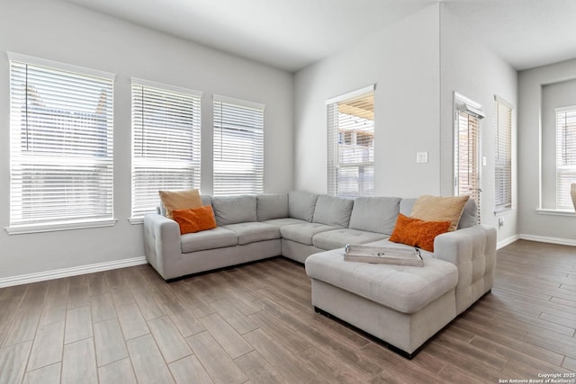 living room featuring wood finished floors and baseboards