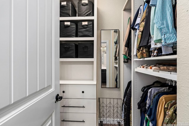 view of walk in closet