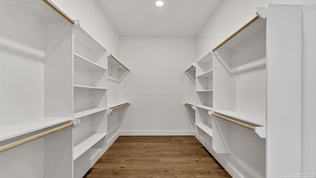 walk in closet featuring dark wood-style floors