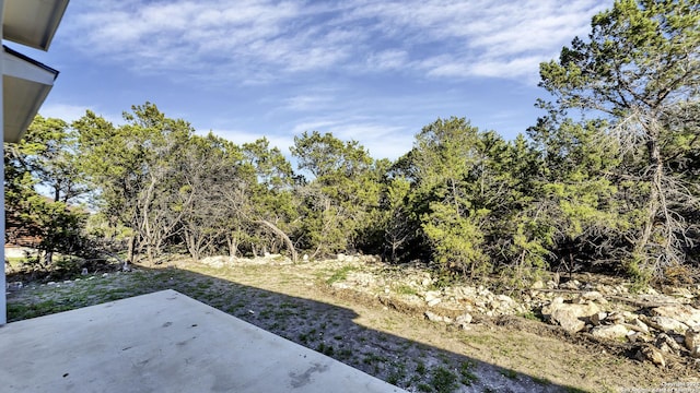 view of yard featuring a patio