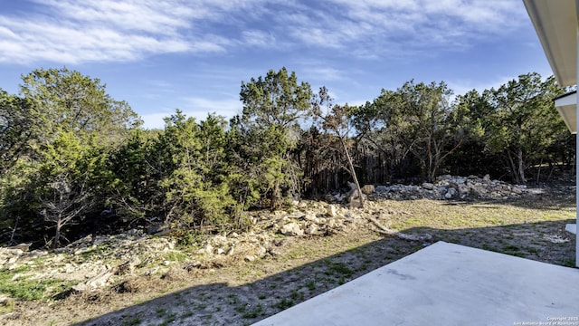 view of yard featuring a patio area