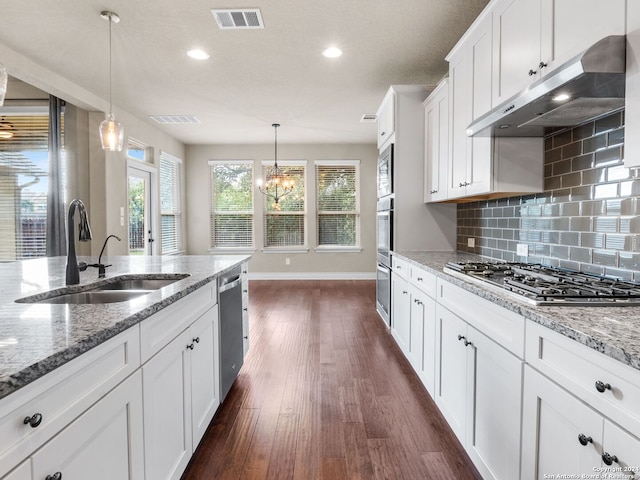 kitchen with stainless steel appliances, dark wood-type flooring, a sink, visible vents, and ventilation hood