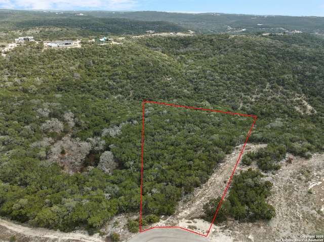 LOT421 Private Road 1717, Mico TX, 78056 land for sale