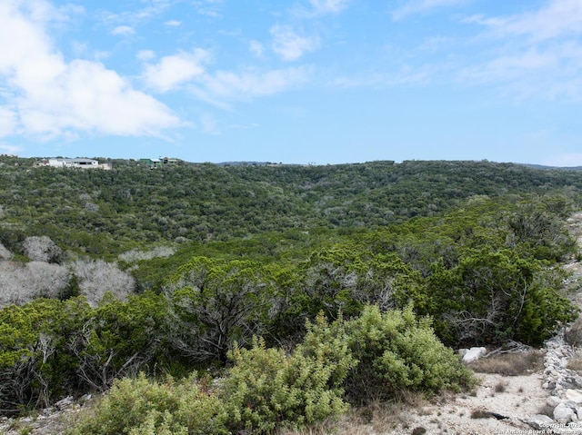 Listing photo 2 for LOT421 Private Road 1717, Mico TX 78056