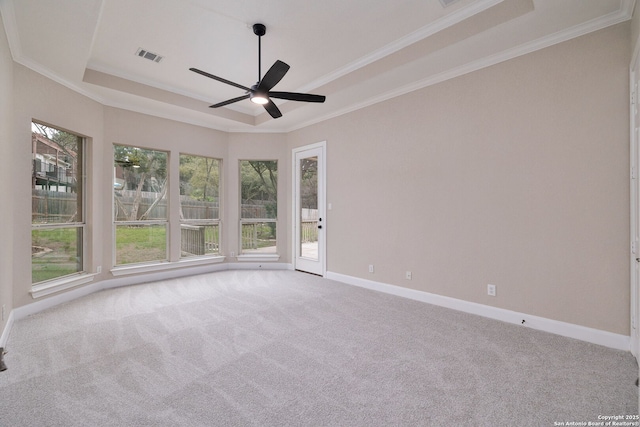 carpeted spare room featuring plenty of natural light, a tray ceiling, and baseboards