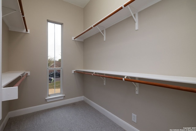 spacious closet with carpet floors