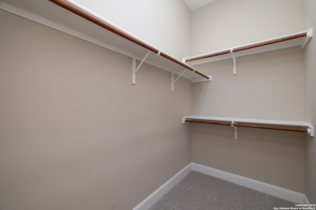 spacious closet with carpet flooring