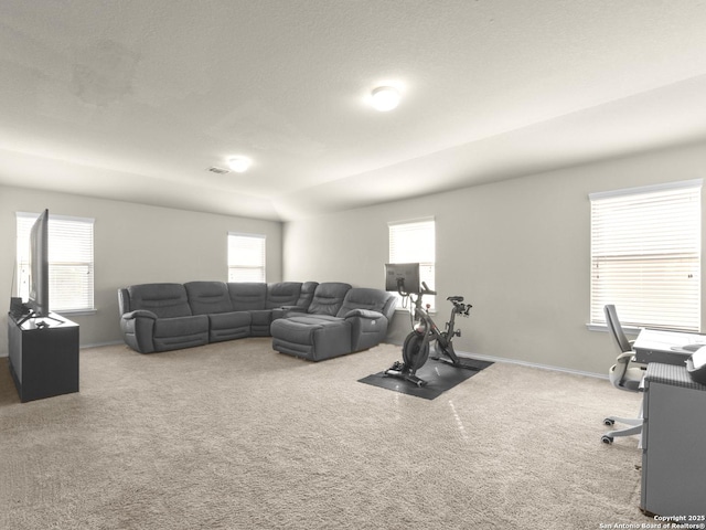 living area with carpet, baseboards, and a wealth of natural light