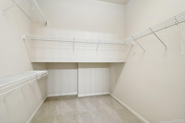 walk in closet with light colored carpet