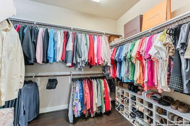 walk in closet with wood finished floors