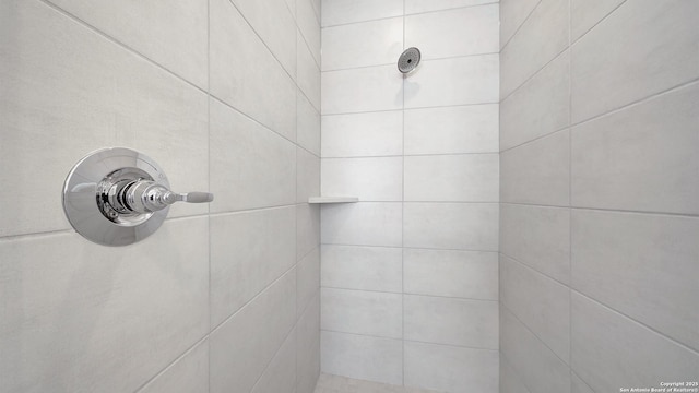 bathroom view of a tile shower
