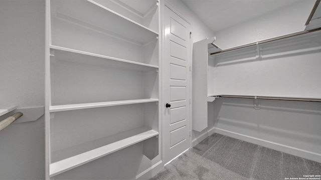 spacious closet featuring carpet floors