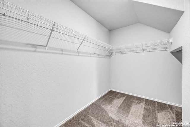 walk in closet featuring vaulted ceiling and carpet flooring