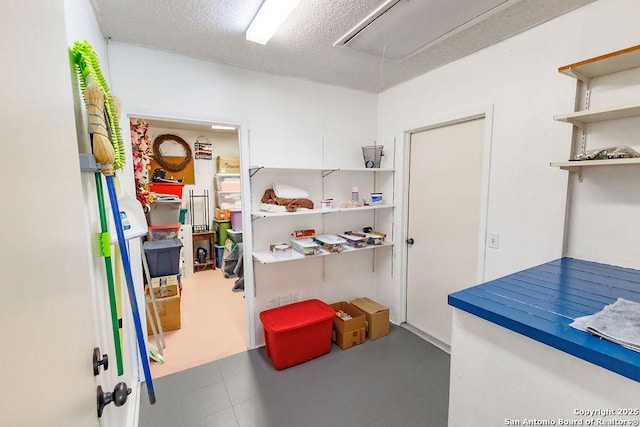 storage area with attic access