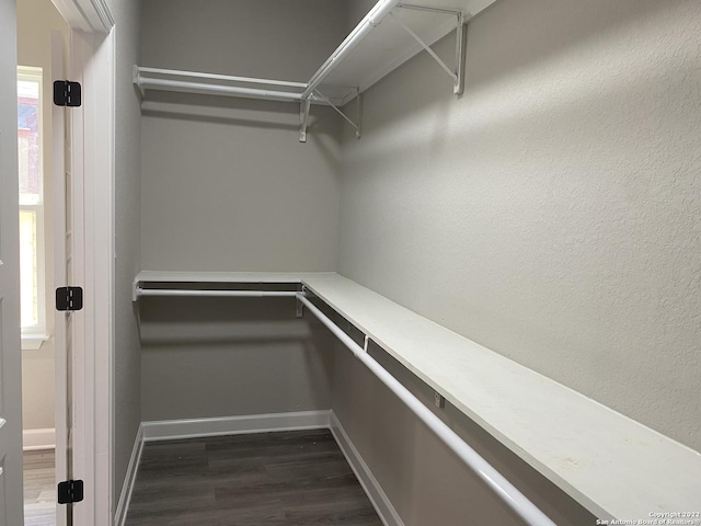 walk in closet with dark wood finished floors