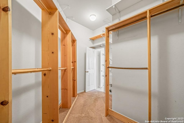 walk in closet with carpet