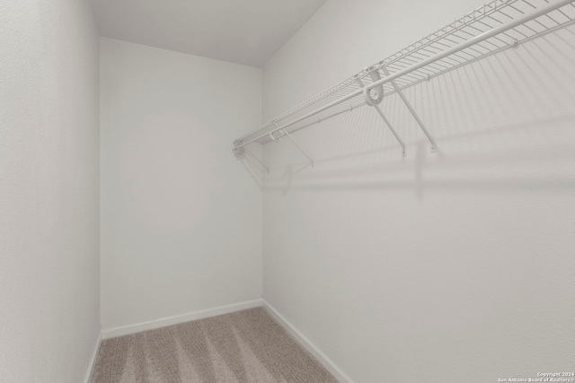 spacious closet featuring light colored carpet