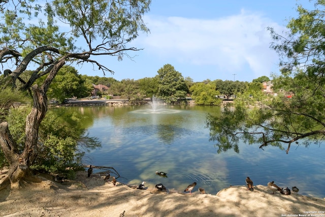 view of water feature