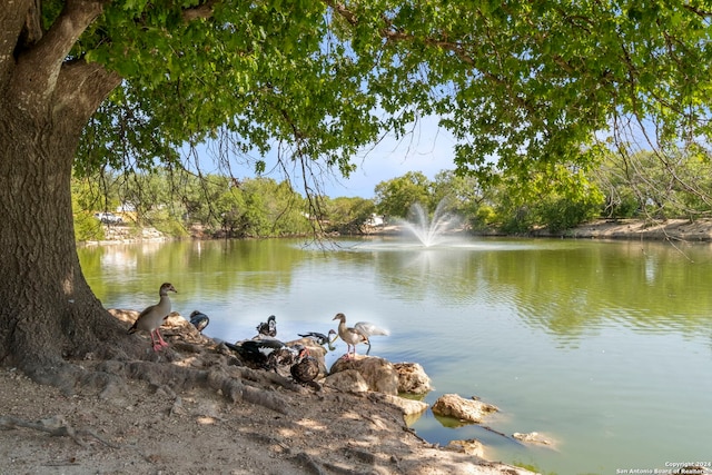 water view