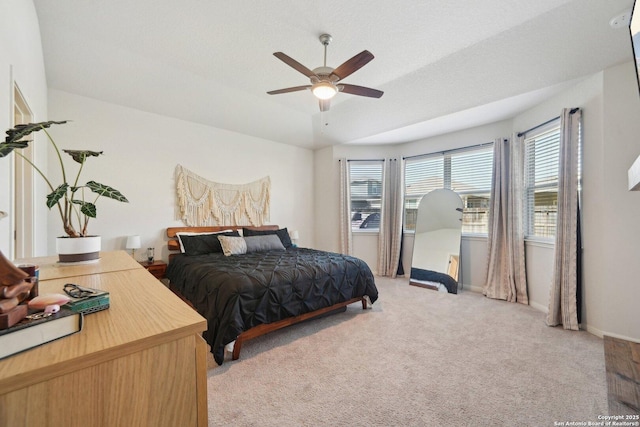 bedroom with a tray ceiling, light colored carpet, baseboards, and multiple windows