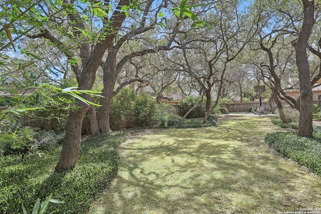 17110 Eagle Holw, San Antonio, TX 78248 - view of yard with fence
