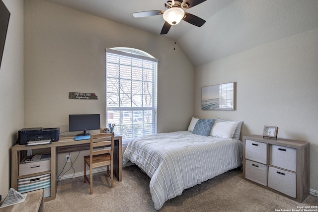 bedroom with lofted ceiling and carpet floors