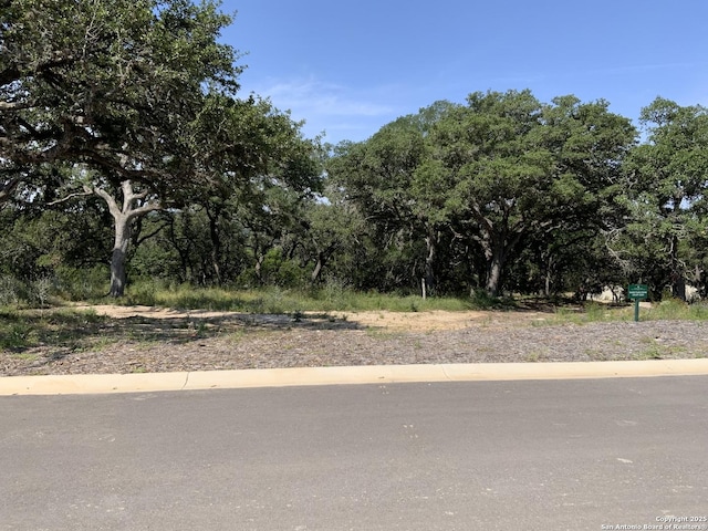 Listing photo 3 for 24643 Cliff Line, San Antonio TX 78257