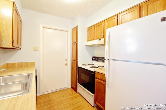 kitchen featuring light wood finished floors, range with electric cooktop, freestanding refrigerator, under cabinet range hood, and a sink