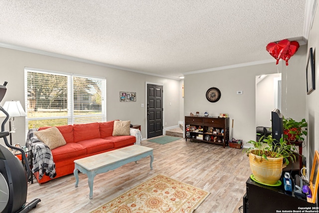 living room featuring ornamental molding, a textured ceiling, and light wood finished floors