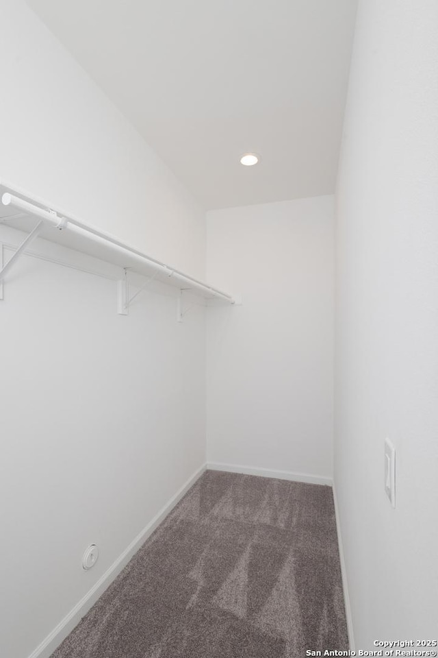 walk in closet with carpet