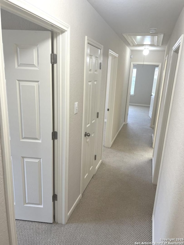 hall featuring attic access, light carpet, and baseboards