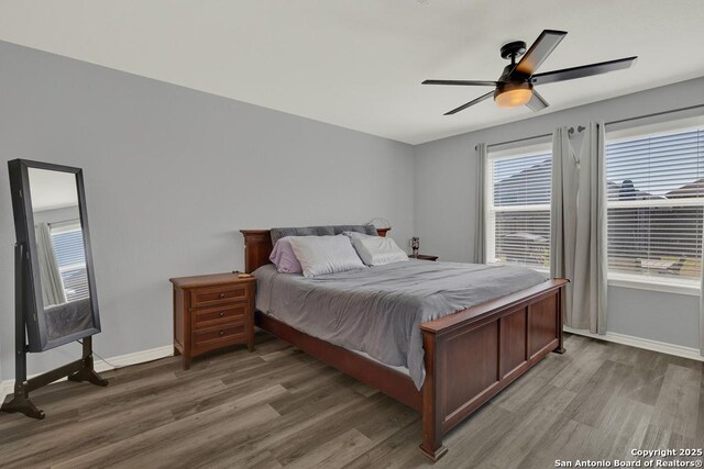 417 Briarfield, Seguin, TX 78155 - bedroom with baseboards, multiple windows, and wood finished floors