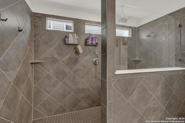 417 Briarfield, Seguin, TX 78155 - bathroom featuring plenty of natural light and tiled shower