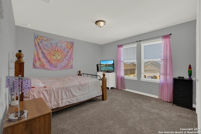 417 Briarfield, Seguin, TX 78155 - bedroom featuring baseboards and carpet floors