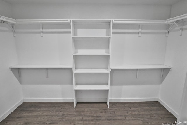 spacious closet featuring dark wood-style flooring